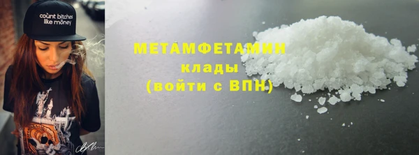 прущие грибы Наволоки