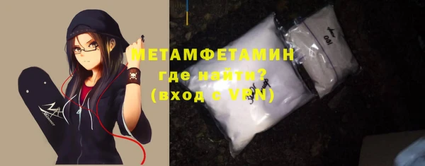 прущие грибы Наволоки
