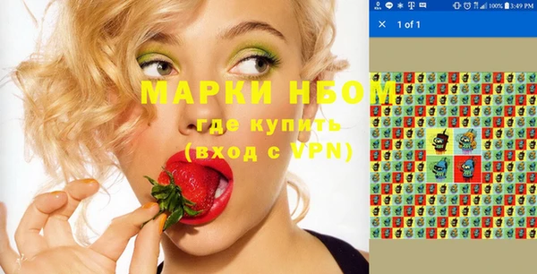 прущие грибы Наволоки