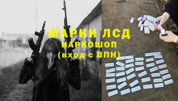 прущие грибы Наволоки
