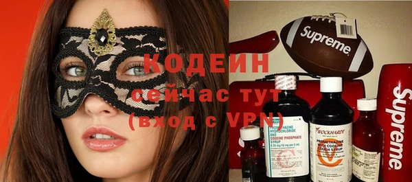 прущие грибы Наволоки