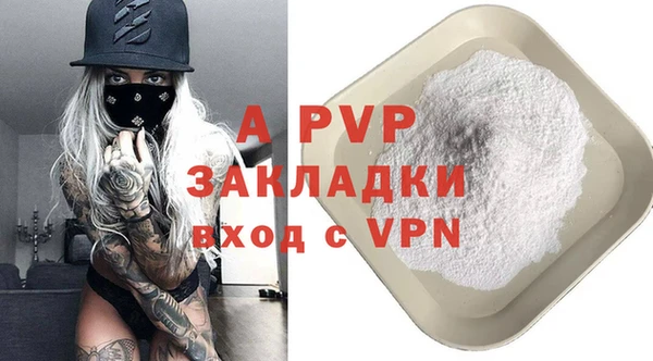 прущие грибы Наволоки