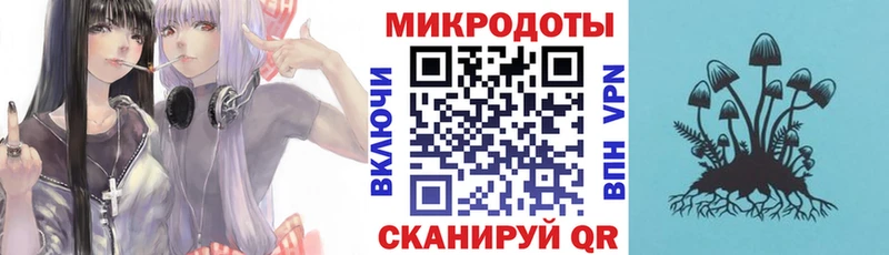 Галлюциногенные грибы Cubensis  Купить где  Мезень 