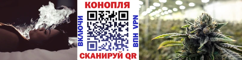 Бошки Шишки тримм  Купить  Мезень 